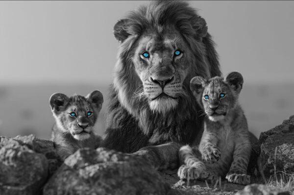 Familia Leones